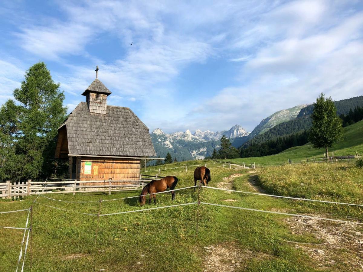 Holiday House Franc Villa Srednja Vas v Bohinju Екстериор снимка